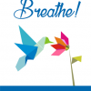 stress management ebook and videos
