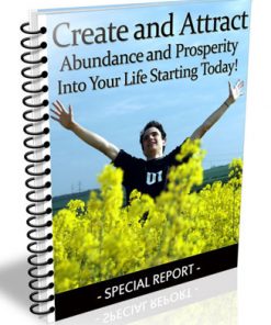 abundance and prosperity plr