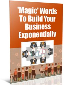magic words to build your business plr report