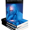 power of mindfulness ebook and videos