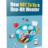 how not to be a one hit wonder plr report