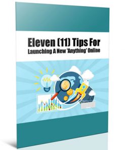 online product launch tips plr report