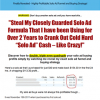 solo ads plr videos