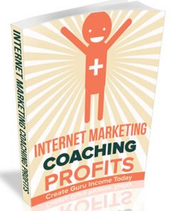 internet marketing coaching profits plr report