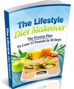 lifestyle diet makeover plr ebook