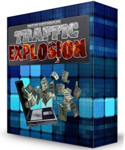 newbie website traffic explosion plr videos