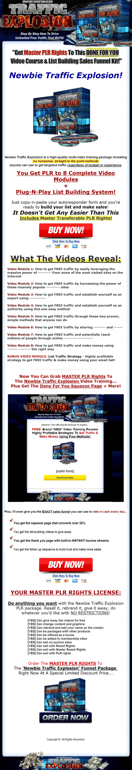 Newbie Website Traffic Explosion PLR Videos with Private Label Rights - Image 2