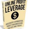 online profit leverage plr ebook