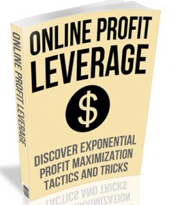 online profit leverage plr ebook