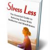 stress less ebook