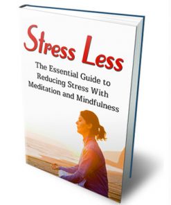 stress less ebook