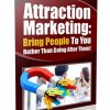 attraction marketing plr report