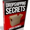 dropshipping secrets plr videos