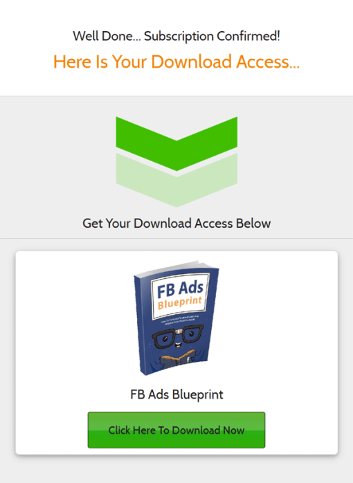 Facebook Ads Blueprint Ebook with Master Resale Rights | The PLR Store