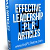 Effective Leadership PLR Articles