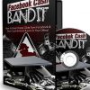 facebook ads cash bandit plr videos