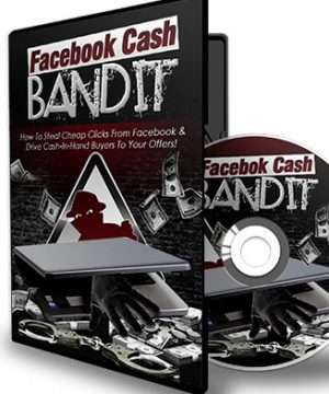 facebook ads cash bandit plr videos