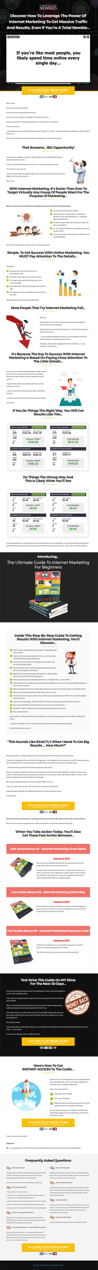 Internet Marketing For Newbies Ebook and Videos MRR - Image 2