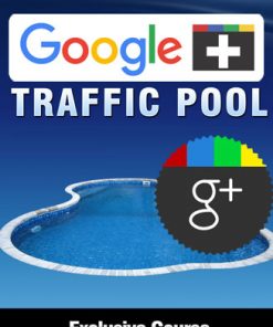 google plus traffic report