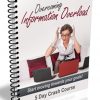 overcome information overload plr autoresponder messages