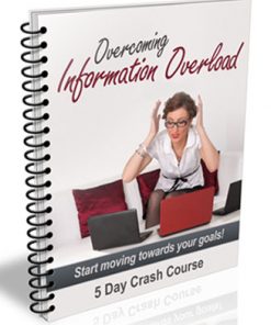 overcome information overload plr autoresponder messages