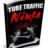 youtube traffic plr ebook