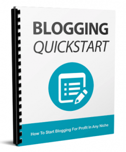 blogging quick start report