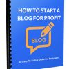 how to start a blog for profit report