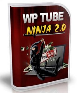 wordpress youtube plr plugin