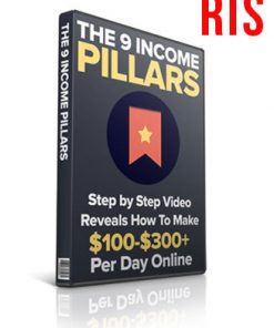 9 income pillars plr videos ready to sell