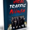 viral traffic wordpress plr plugin
