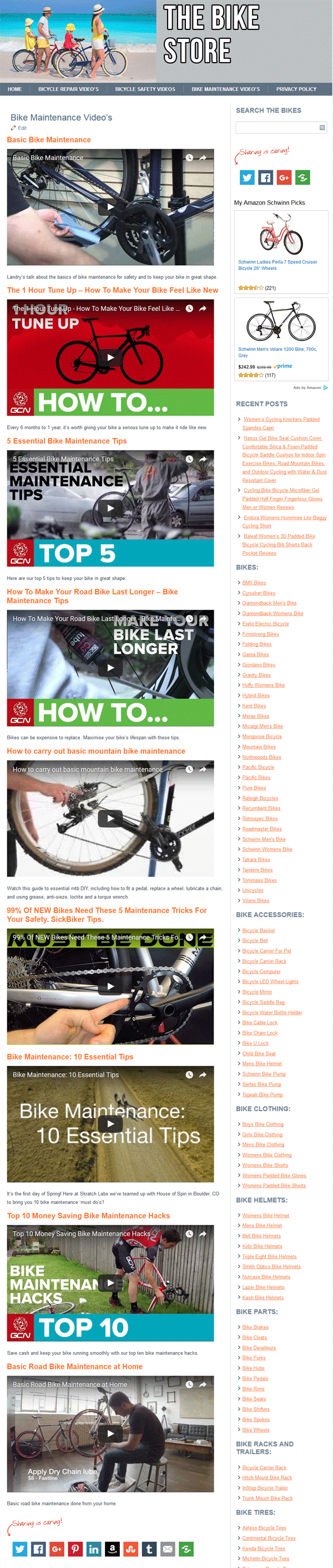 Bike PLR Amazon Store Website