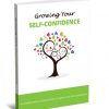 growing your self confidence plr report