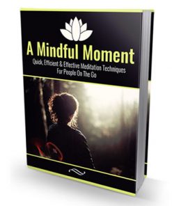 mindful moment meditation ebook