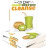 green smoothie cleanse ebook and videos mrr