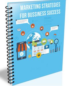 marketing strategies for business success plr report