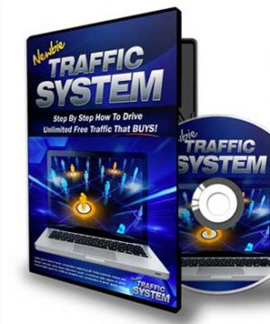 Newbie Traffic System PLR Videos