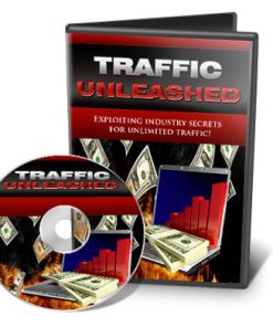 website traffic unleashed videos