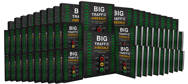 Big Traffic Secrets Videos MRR