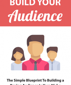 Build Your Online Audience Ebook MRR