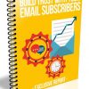 Building Trust With Your Email Subscribers PLR Report