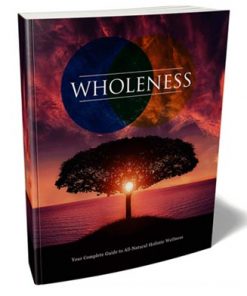 Holistic Wellness Ebook and Videos with Master Resale Rights