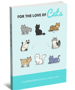 Love Of Cats PLR Report with Private Label Rights