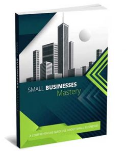 Small Business Mastery PLR Report