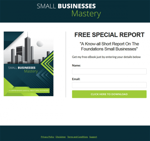 Small Business Mastery PLR Report