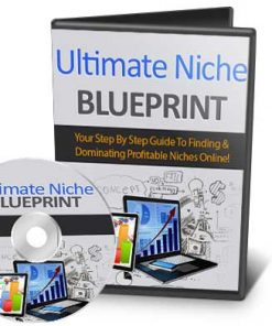 Ultimate Niche Marketing Blueprint Ebook and Videos MRR