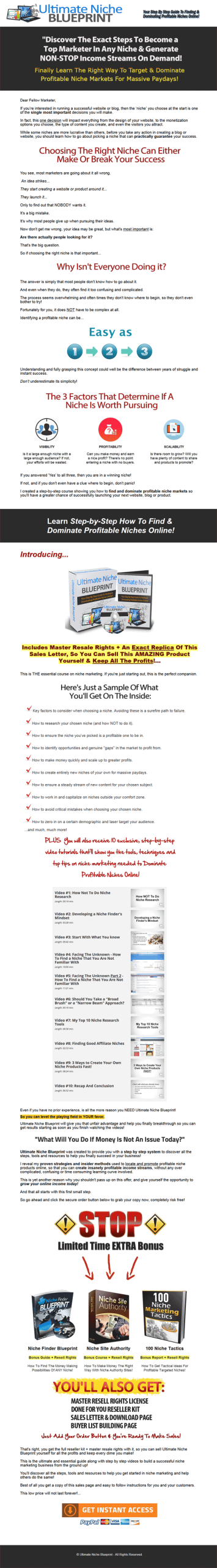 Ultimate Niche Marketing Blueprint Ebook and Videos MRR - Image 2