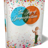 Joy Of Imperfection Ebook and Videos MRR