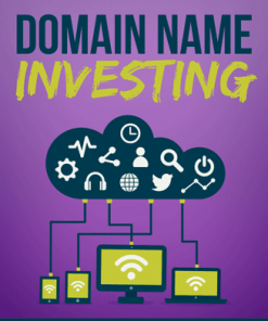 Domain Name Investing Ebook