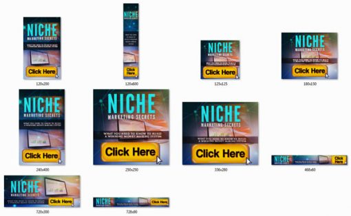 Niche Marketing Secrets Ebook and Videos MRR Package